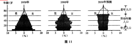 图片11