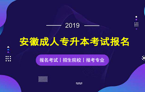 2019年安徽成人高考专升本