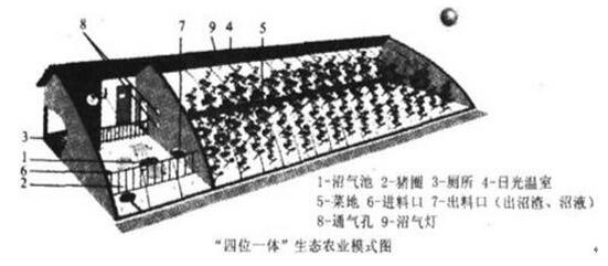 2003年成人高考高升本历史地理综合考试真题