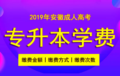 安徽成人高考专升本学费怎么交