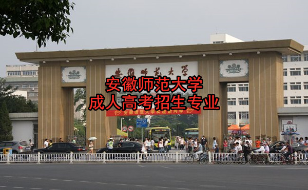 安徽师范大学成人高考招生专业