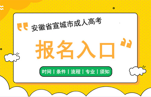 安徽省宣城市成人高考报名入口.JPG