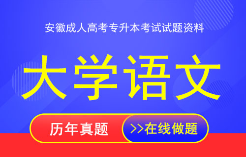 安徽成人高考专升本大学语文考试真题