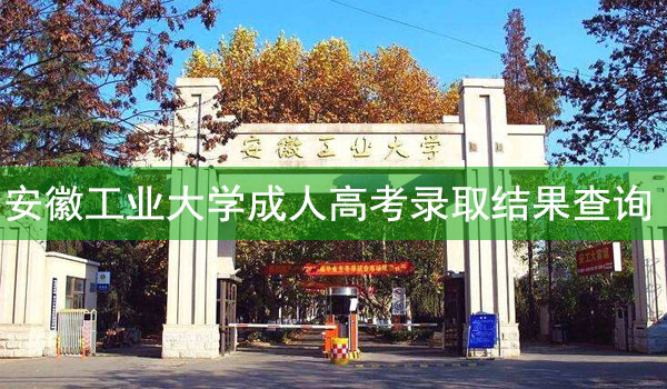 安徽工业大学成人高考录取结果查询