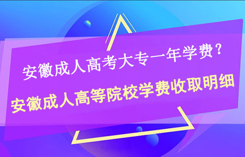 安徽成人高考大专一年学费是多少