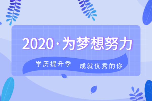 2020年安徽成人高考专升本《艺术概论》模拟卷