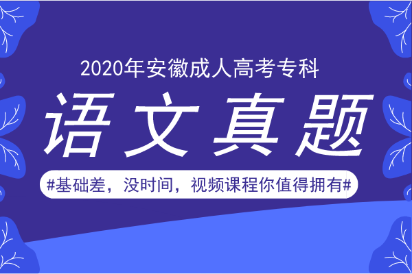 2016年安徽成人高考高起专《语文》考试真题