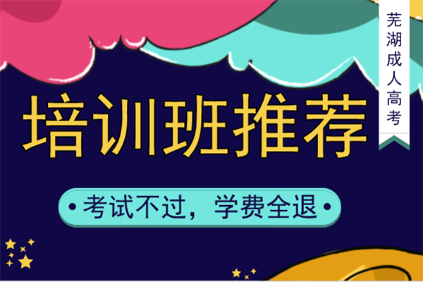 芜湖成人高考培训机构哪家好