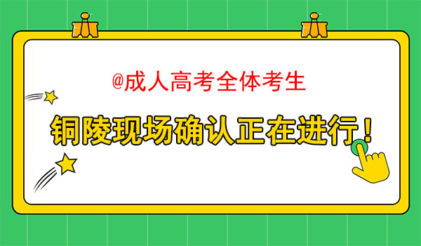 铜陵成人高考确认地点