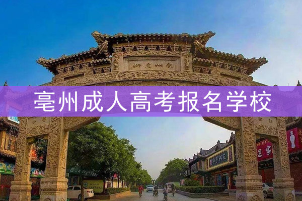 亳州成人高考报名学校