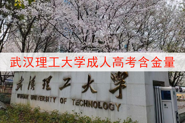 武汉理工大学成人高考含金量