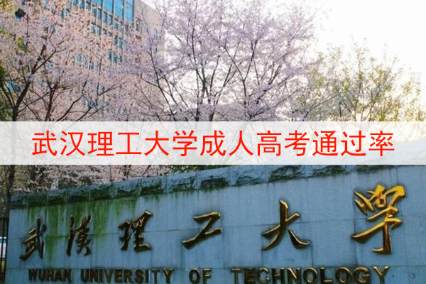 武汉理工大学成人高考通过率
