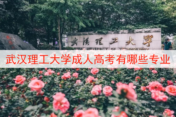 武汉理工大学成人高考有哪些专业