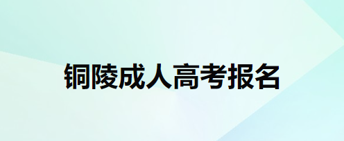 铜陵成人高考报名